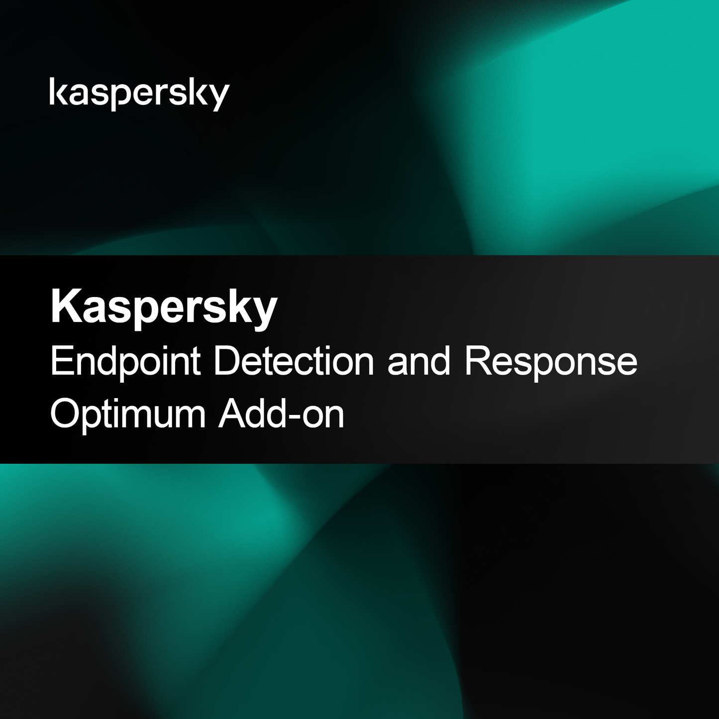 Kaspersky Endpoint Detection and Response Optimum dodatna oprema