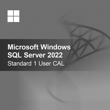 Microsoft SQL Server 2022 Standard 1 uporabniška licenca CAL