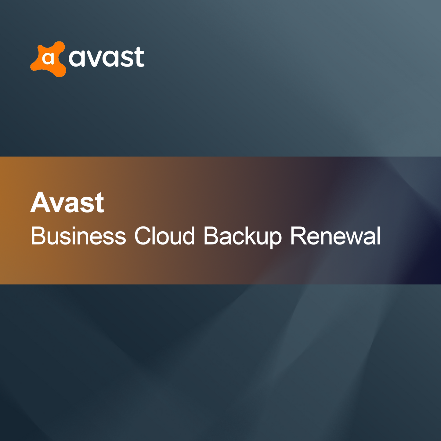 Avast Business Upravljanje popravkov