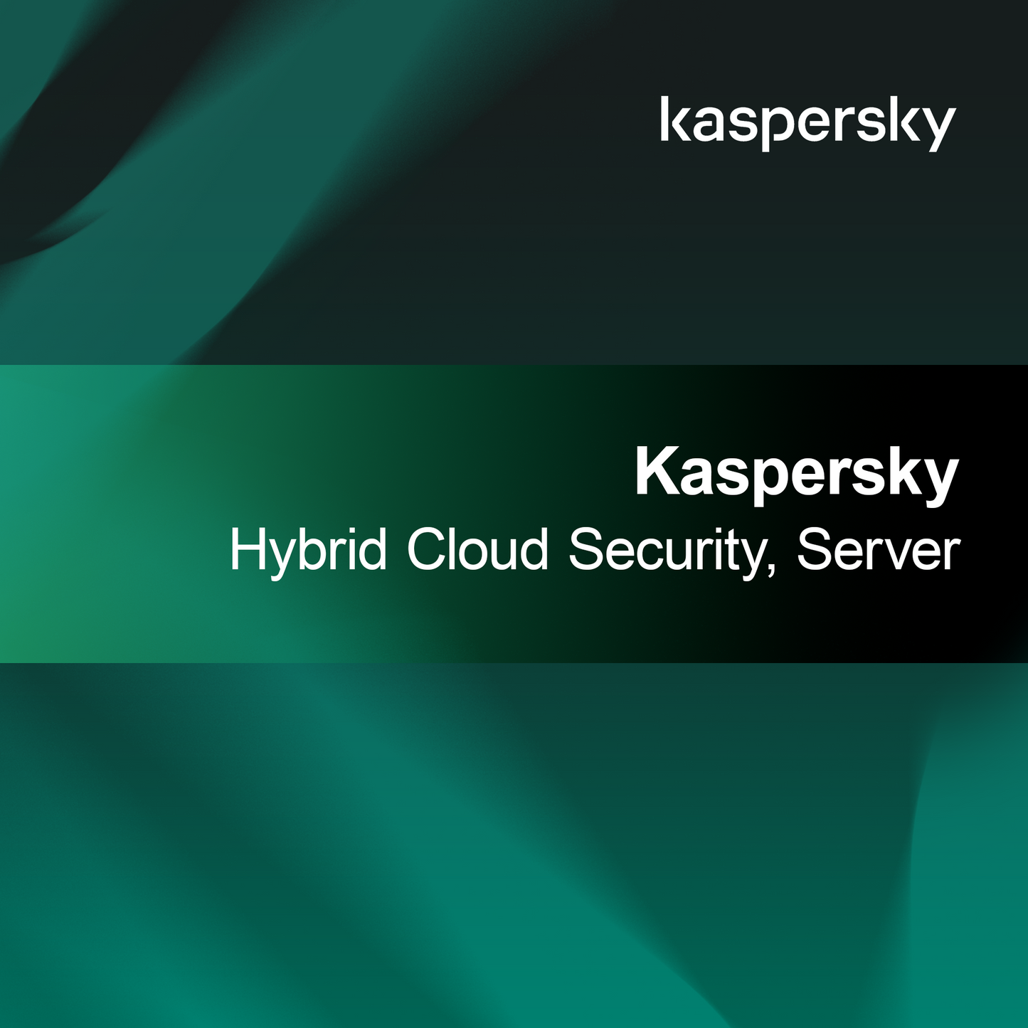 Kaspersky hibridna varnost v oblaku, strežnik