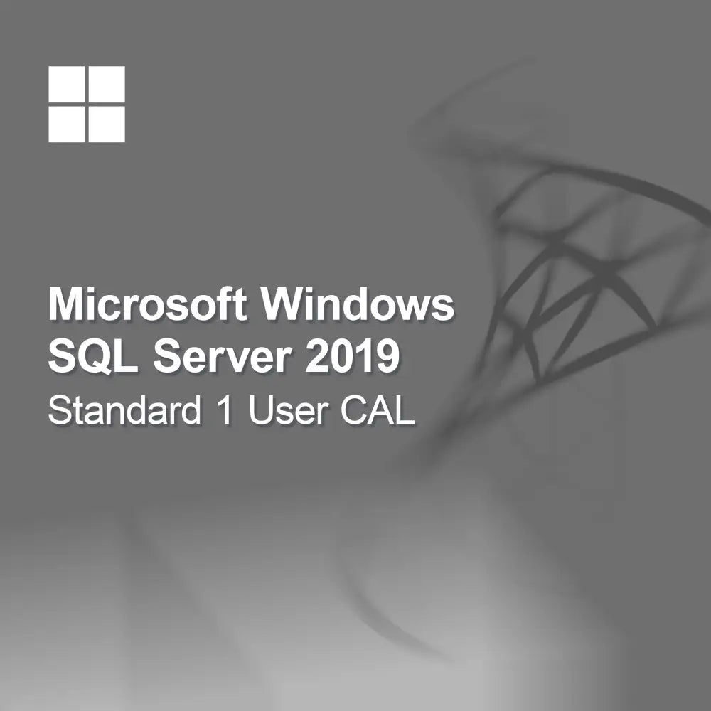Microsoft SQL Server 2019 Standard 1 uporabniška licenca CAL